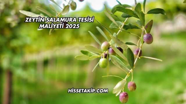 Zeytin Salamura Tesisi Maliyeti 2025