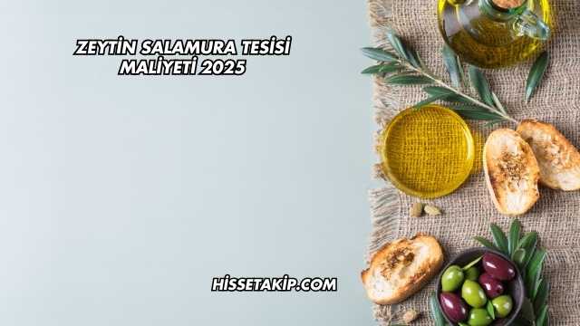 Zeytin Salamura Tesisi Maliyeti 2025