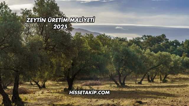 Zeytin Üretim Maliyeti 2025