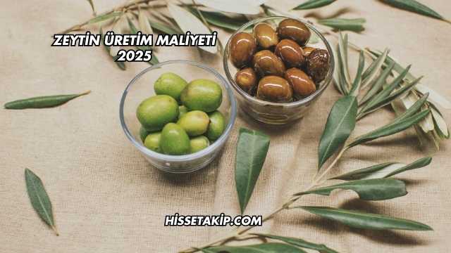 Zeytin Üretim Maliyeti 2025