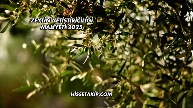Zeytin Yetiştiriciliği Maliyeti 2025