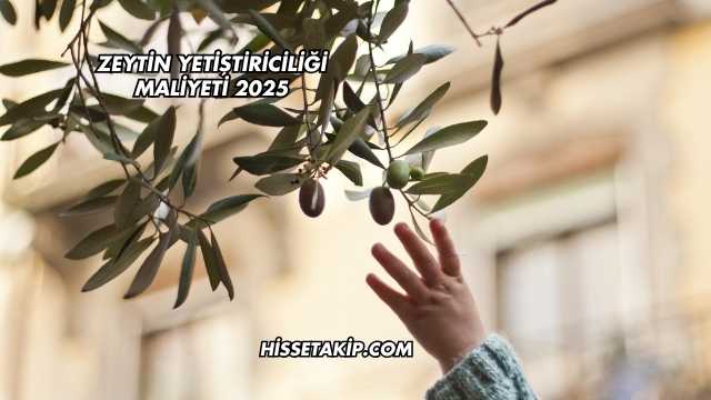 Zeytin Yetiştiriciliği Maliyeti 2025