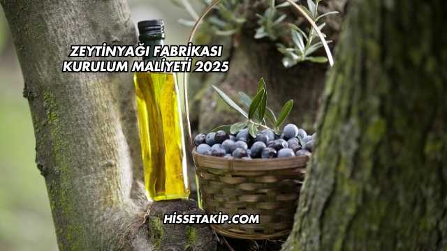 Zeytinyağı Fabrikası Kurulum Maliyeti 2025