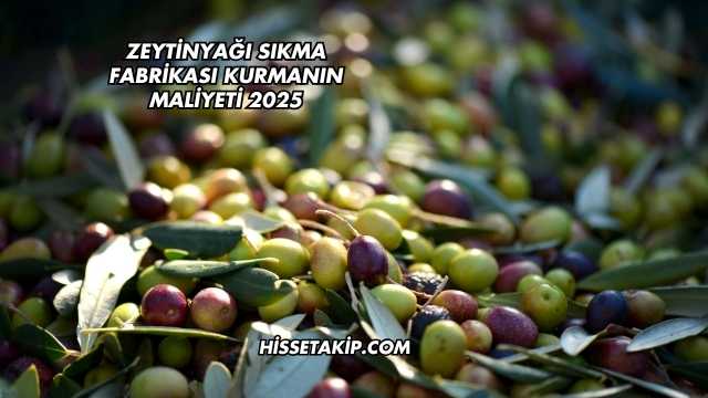 Zeytinyağı Sıkma Fabrikası Kurmanın Maliyeti 2025