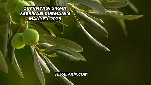 Zeytinyağı Sıkma Fabrikası Kurmanın Maliyeti 2025