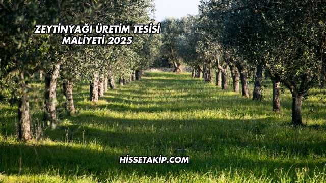 Zeytinyağı Üretim Tesisi Maliyeti 2025