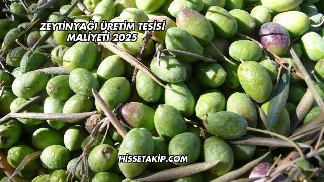Zeytinyağı Üretim Tesisi Maliyeti 2025