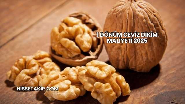 1 Dönüm Ceviz Dikim Maliyeti 2025