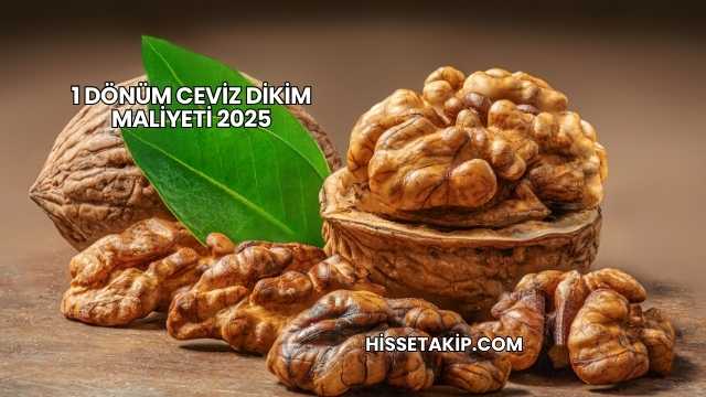 1 Dönüm Ceviz Dikim Maliyeti 2025