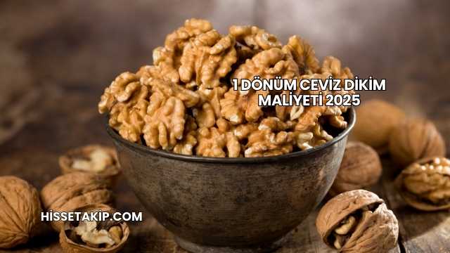 1 Dönüm Ceviz Dikim Maliyeti 2025