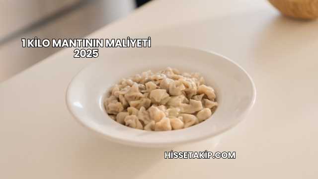 1 Kilo Mantının Maliyeti 2025