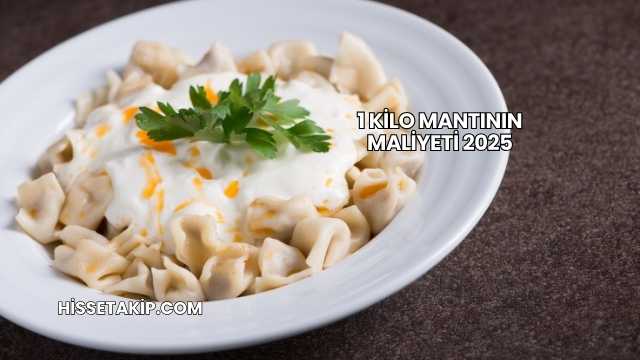 1 Kilo Mantının Maliyeti 2025