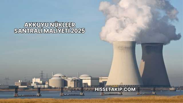 Akkuyu Nükleer Santrali Maliyeti 2025