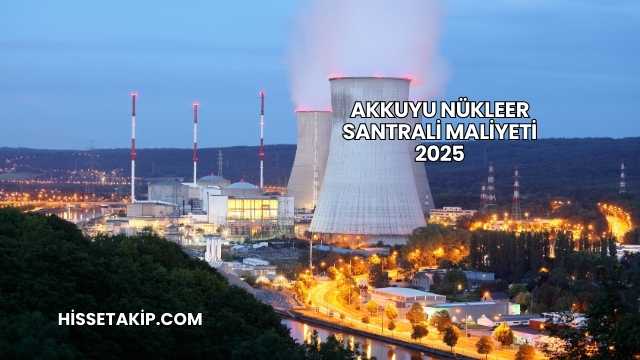 Akkuyu Nükleer Santrali Maliyeti 2025