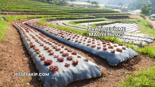 Arazi Çevirme Maliyeti 2025