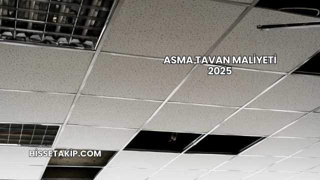 Asma Tavan Maliyeti 2025