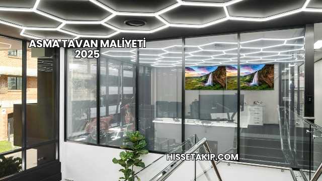 Asma Tavan Maliyeti 2025