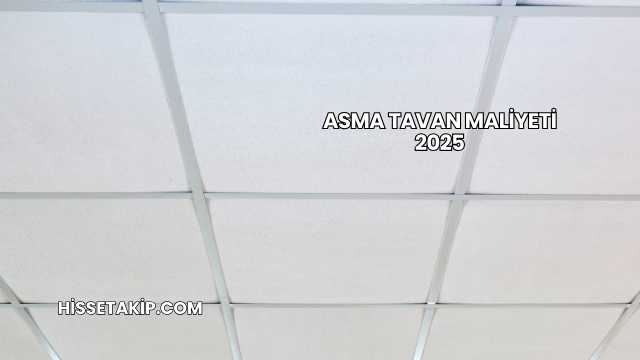 Asma Tavan Maliyeti 2025