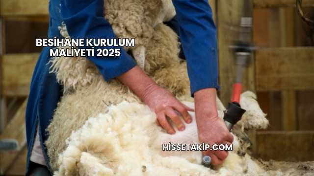 Besihane Kurulum Maliyeti 2025