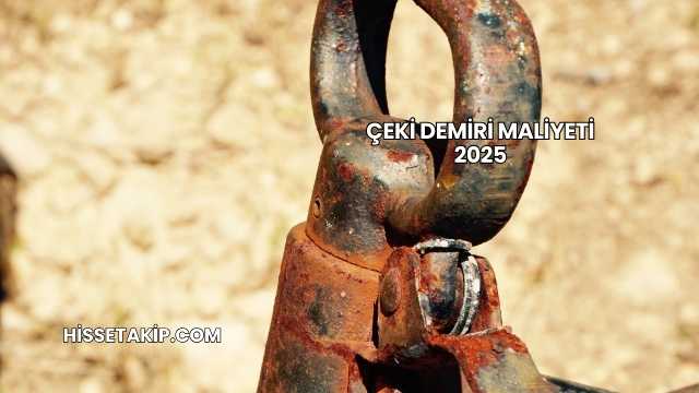 Çeki Demiri Maliyeti 2025
