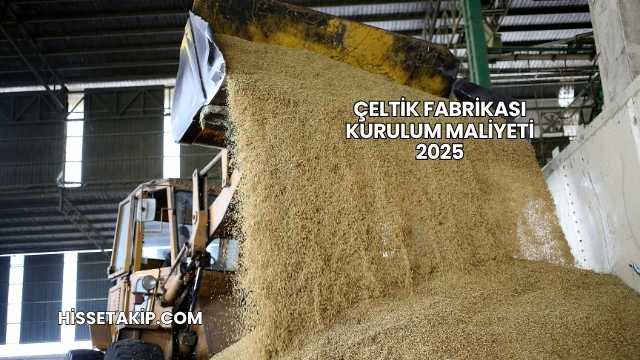 Çeltik Fabrikası Kurulum Maliyeti 2025