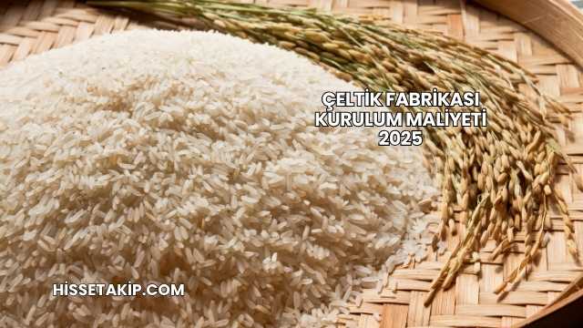 Çeltik Fabrikası Kurulum Maliyeti 2025