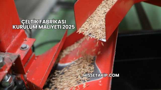 Çeltik Fabrikası Kurulum Maliyeti 2025