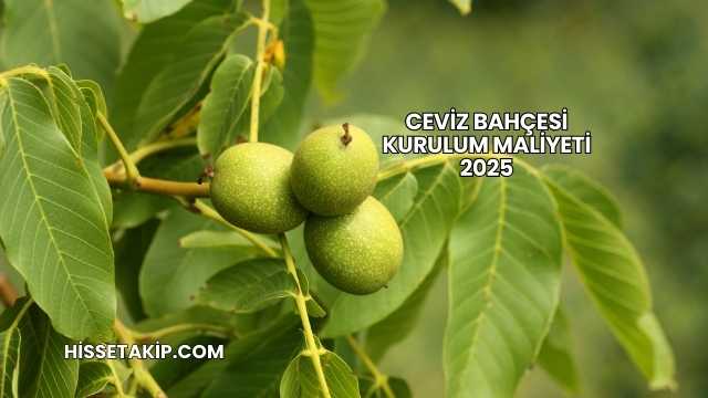 Ceviz Bahçesi Kurulum Maliyeti 2025