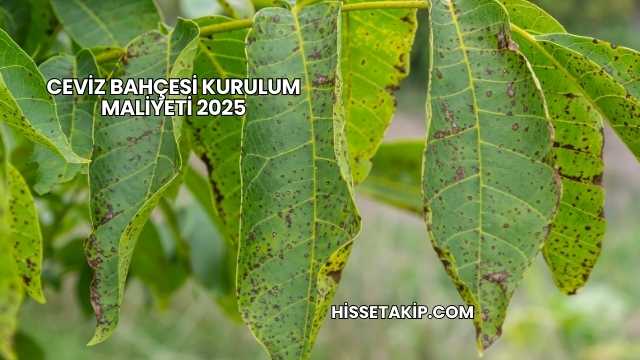 Ceviz Bahçesi Kurulum Maliyeti 2025