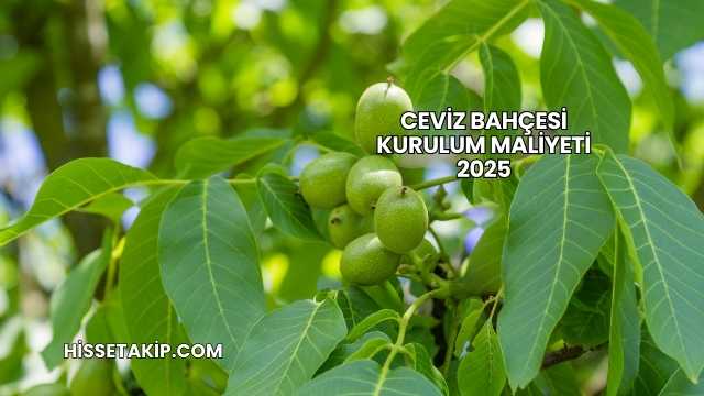Ceviz Bahçesi Kurulum Maliyeti 2025