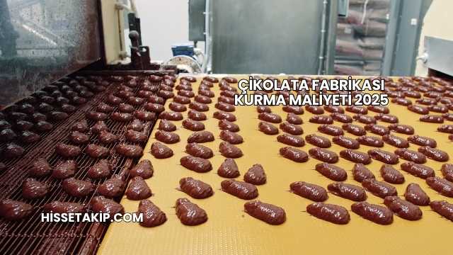Çikolata Fabrikası Kurma Maliyeti 2025
