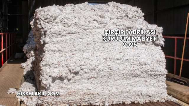 Çırçır Fabrikası Kurulum Maliyeti 2025