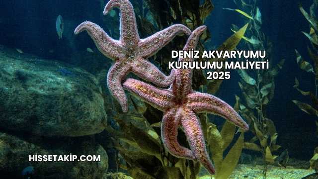 Deniz Akvaryumu Kurulumu Maliyeti 2025
