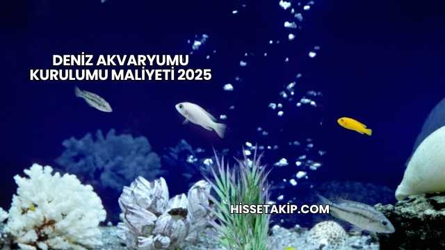 Deniz Akvaryumu Kurulumu Maliyeti 2025