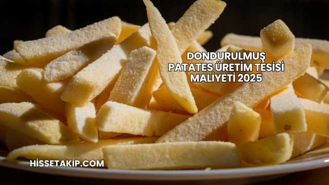 Dondurulmuş Patates Üretim Tesisi Maliyeti 2025
