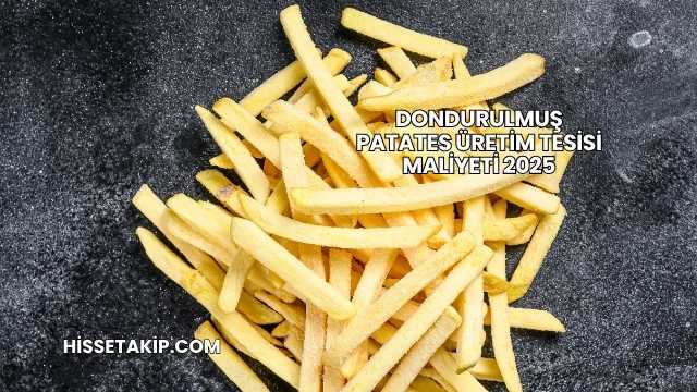 Dondurulmuş Patates Üretim Tesisi Maliyeti 2025