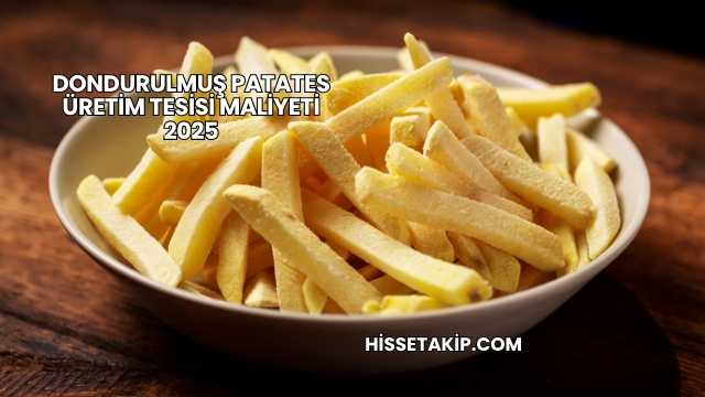 Dondurulmuş Patates Üretim Tesisi Maliyeti 2025