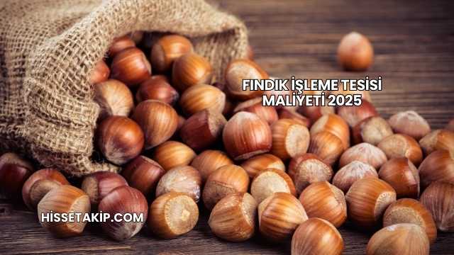 Fındık İşleme Tesisi Maliyeti 2025