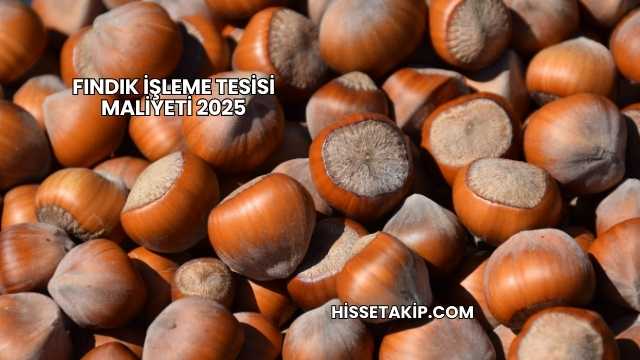 Fındık İşleme Tesisi Maliyeti 2025