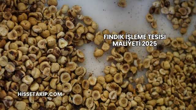 Fındık İşleme Tesisi Maliyeti 2025