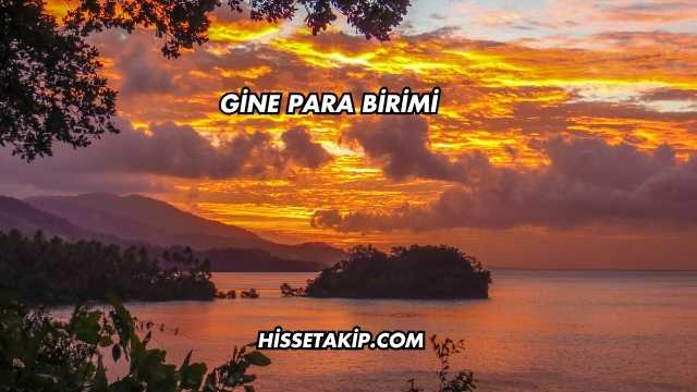 Gine Para Birimi