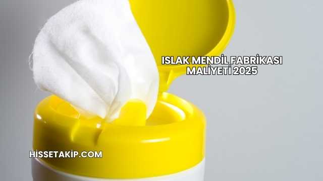 Islak Mendil Fabrikası Maliyeti 2025