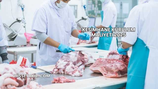 Kesimhane Kurulum Maliyeti 2025