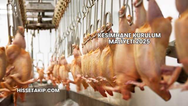 Kesimhane Kurulum Maliyeti 2025
