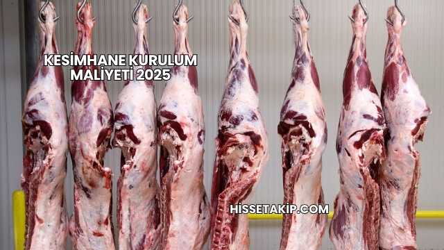 Kesimhane Kurulum Maliyeti 2025