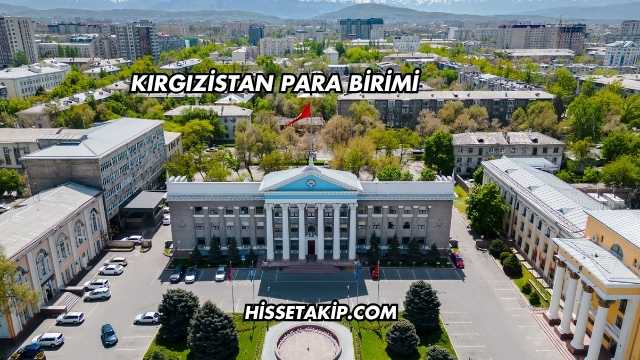 Kırgızistan Para Birimi