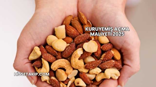 Kuruyemiş Açma Maliyeti 2025