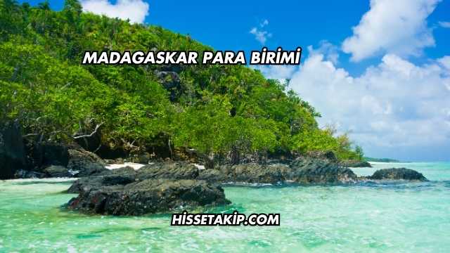 Madagaskar Para Birimi