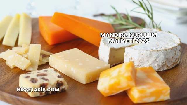Mandıra Kurulum Maliyeti 2025