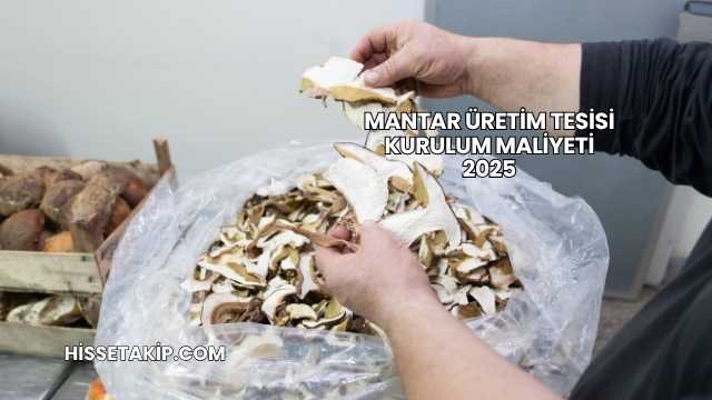 Mantar Üretim Tesisi Kurulum Maliyeti 2025
